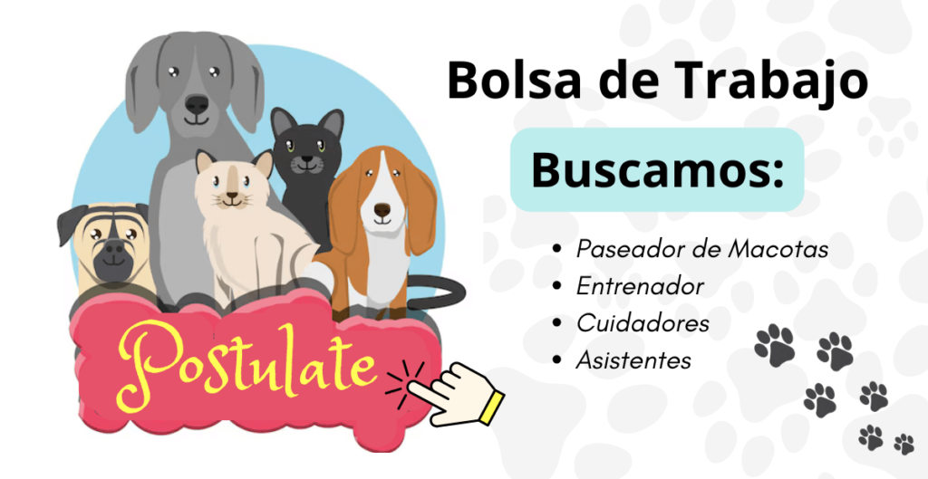 cuidador de mascotas
